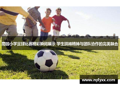 南园小学足球比赛精彩瞬间展示 学生拼搏精神与团队协作的完美融合