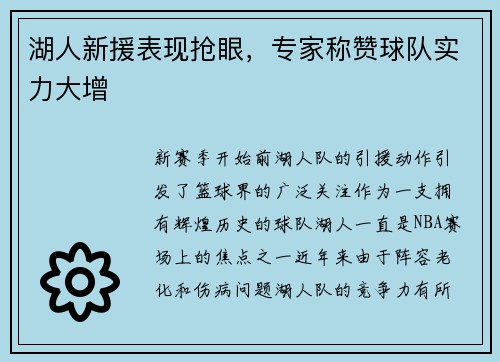 湖人新援表现抢眼，专家称赞球队实力大增