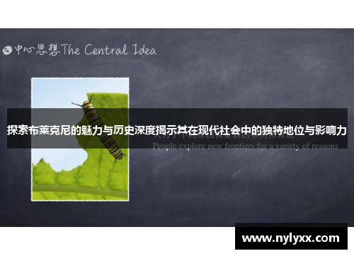 探索布莱克尼的魅力与历史深度揭示其在现代社会中的独特地位与影响力